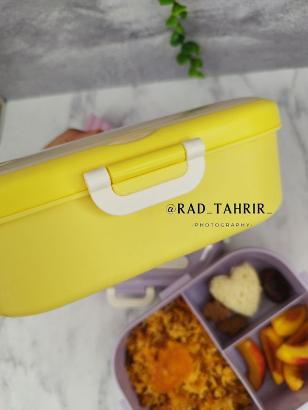 ظرف غذای سه قسمته به همراه قاشق و چنگال گربه